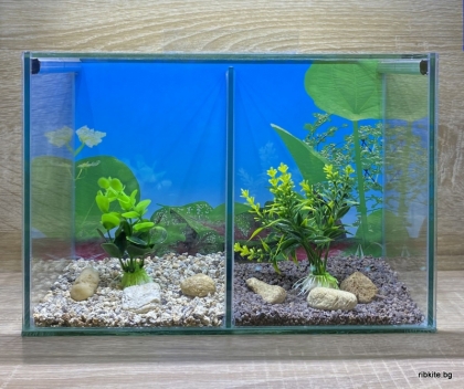  Мини аквариум за две рибки Бета-10литра