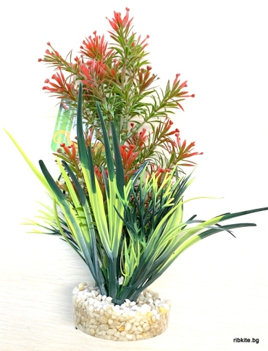 Декоративно растение за аквариум