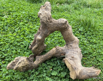 Естествен корен Savana
