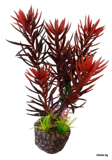 Декоративно растение за аквариум /13см