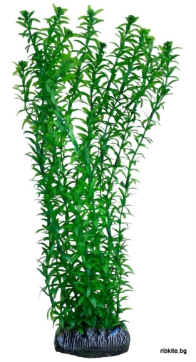 Декоративно растение за аквариум /34см