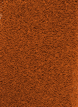 TETRA KOI STICKS /1000мл