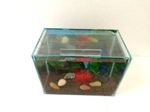 Пълен комплект мини аквариум с бета